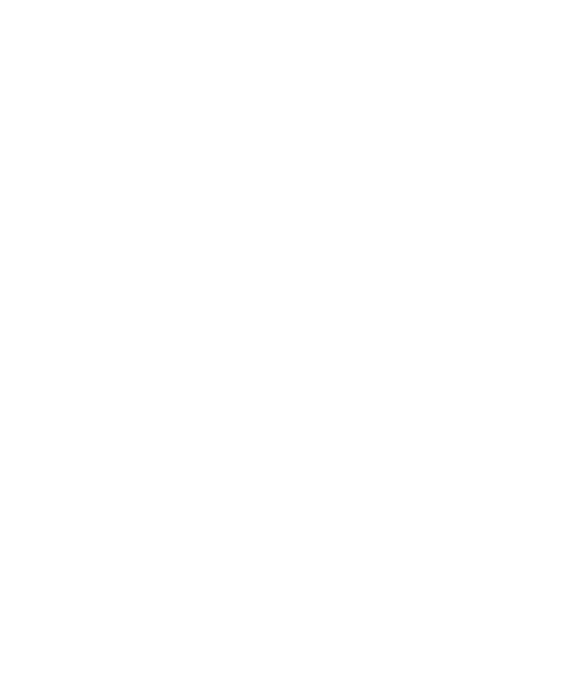 PIP Den Haag